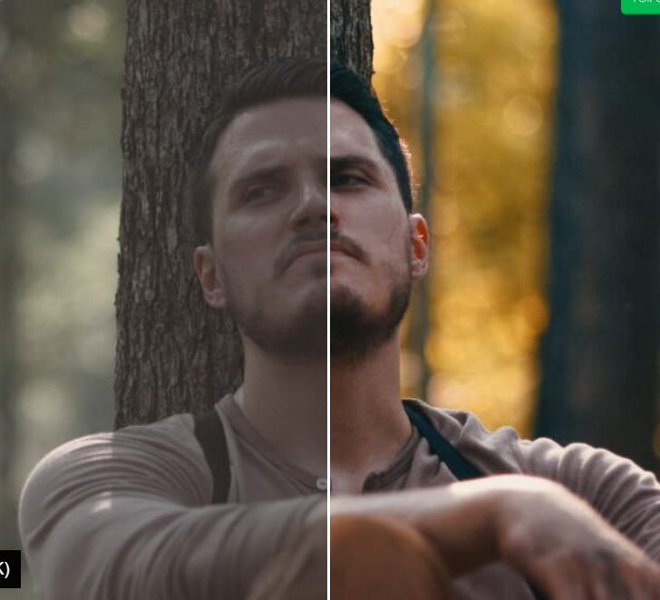 Lut Conversion Video &Photography